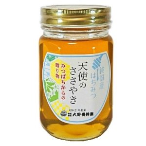 画像1: 純国産はちみつ　天使のささやき　450g (1)